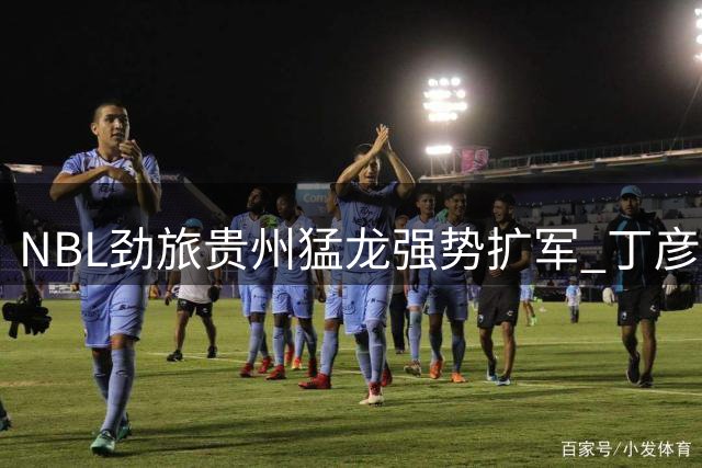 NBL劲旅贵州猛龙强势扩军 丁彦雨航携豪华阵容剑指CBA席位